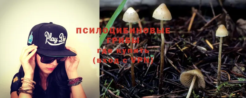 Псилоцибиновые грибы Magic Shrooms  купить наркотик  Новотроицк 