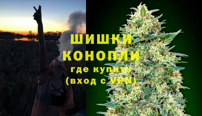 Канабис Amnesia  купить закладку  hydra вход  Новотроицк 